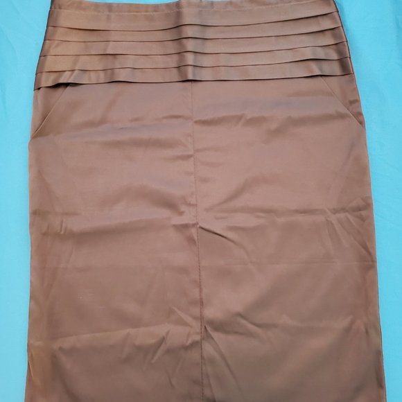 Two Pencil Skirts (Medium) - Picture 9 of 9